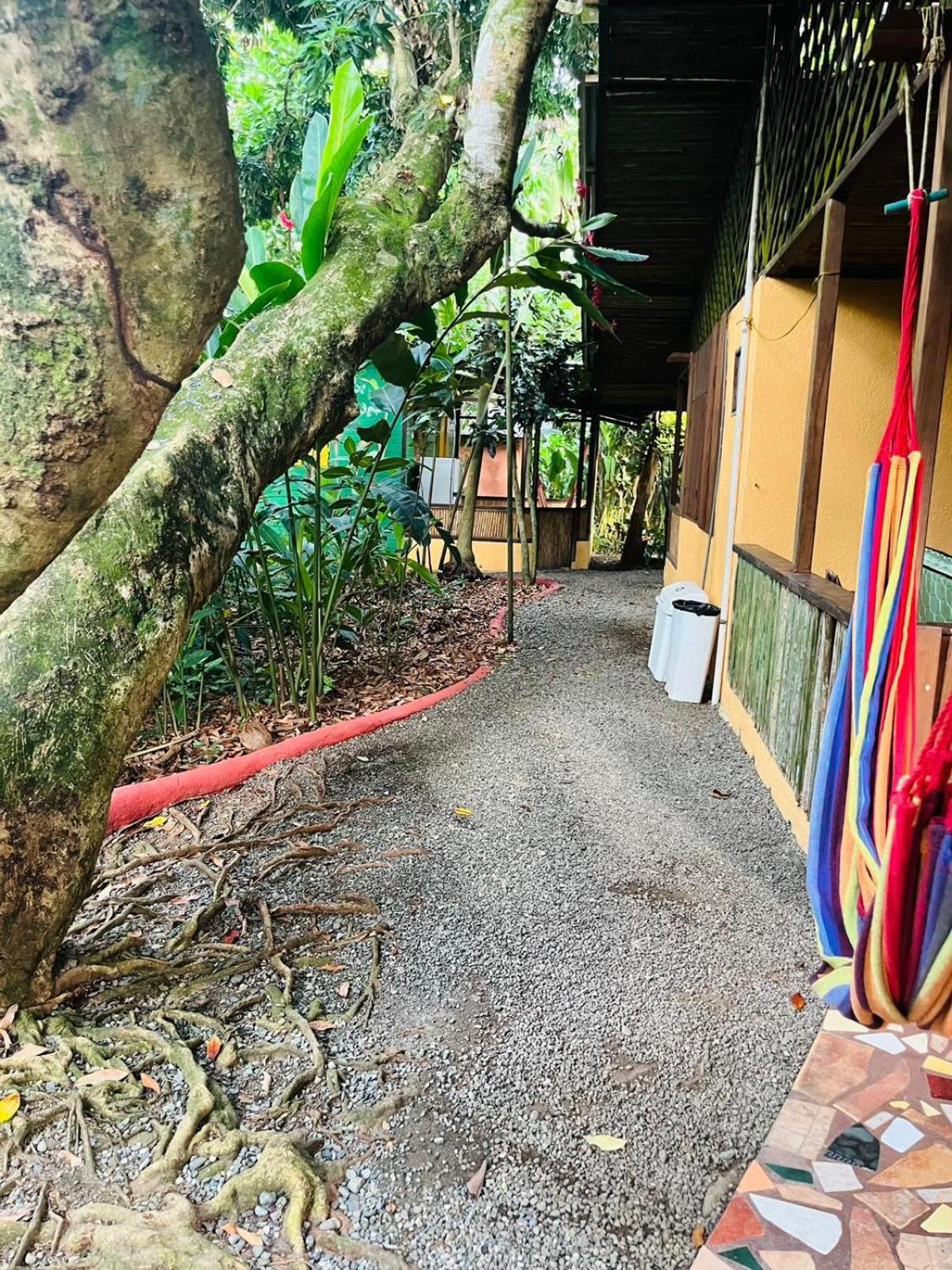 La Casa De Rolando Villa Puerto Viejo de Talamanca Ngoại thất bức ảnh