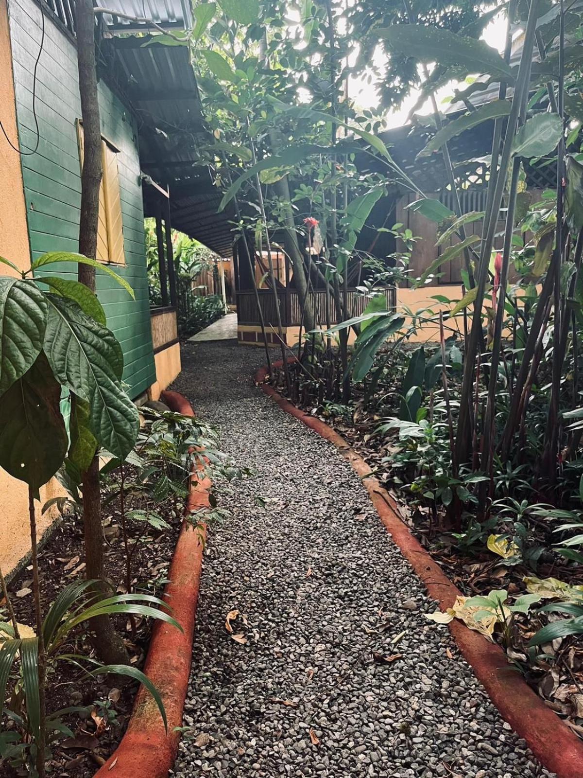 La Casa De Rolando Villa Puerto Viejo de Talamanca Ngoại thất bức ảnh