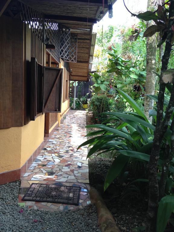 La Casa De Rolando Villa Puerto Viejo de Talamanca Ngoại thất bức ảnh