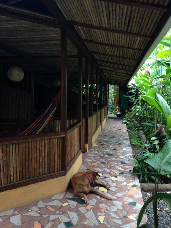 La Casa De Rolando Villa Puerto Viejo de Talamanca Ngoại thất bức ảnh