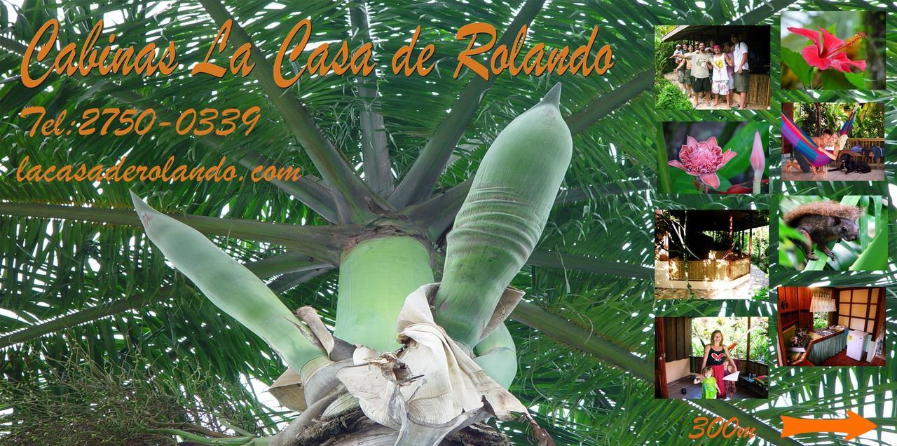 La Casa De Rolando Villa Puerto Viejo de Talamanca Ngoại thất bức ảnh